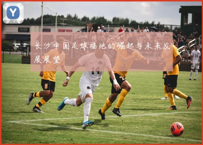 长沙中国足球福地的崛起与未来发展展望