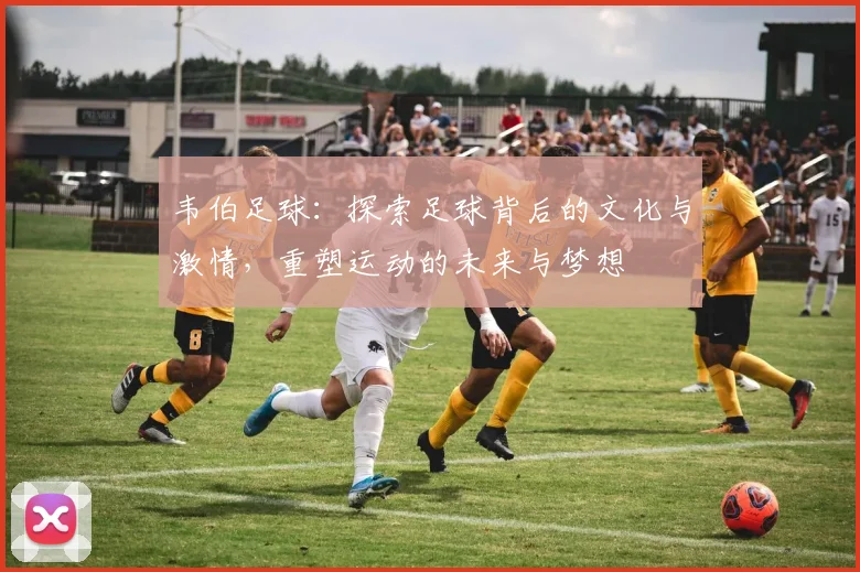 韦伯足球：探索足球背后的文化与激情，重塑运动的未来与梦想