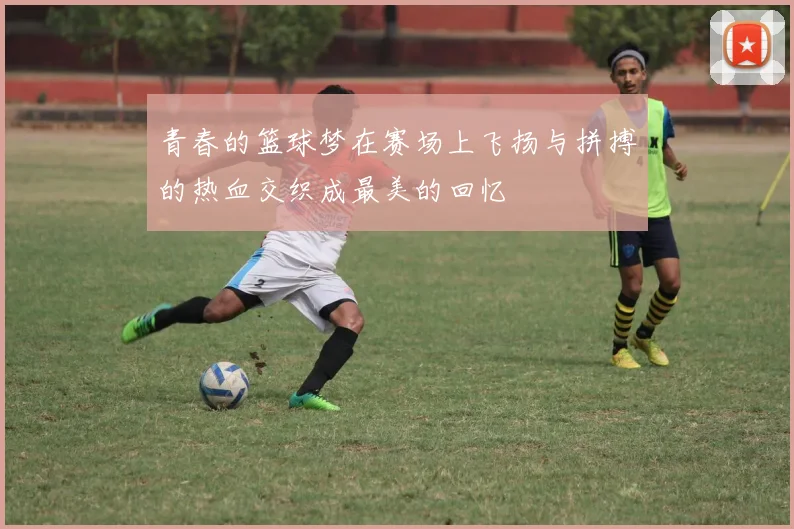 青春的篮球梦在赛场上飞扬与拼搏的热血交织成最美的回忆