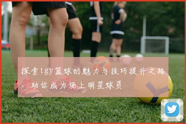 探索tgy篮球的魅力与技巧提升之路，助你成为场上明星球员