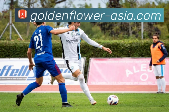 炸金花发展历程